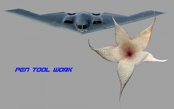 Creation of Commander Pearl's Wild Ride : Step 1